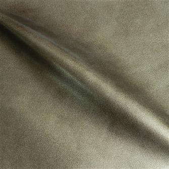 Comet