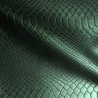 Lucky Lizard