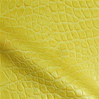 Vincroc
