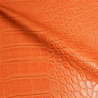 Vincroc