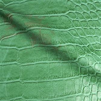 Vincroc