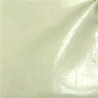 Palm Print