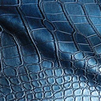 Bigcroc
