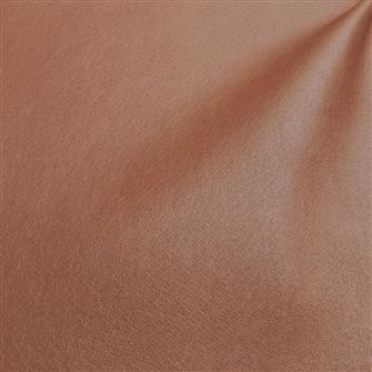 Linea