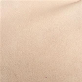 Linea