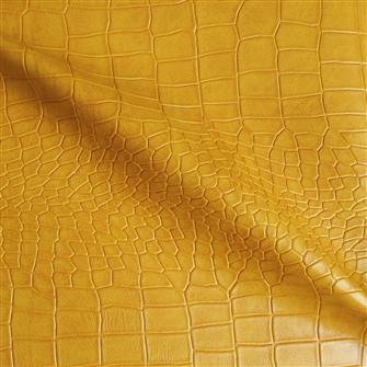 Croc Skin