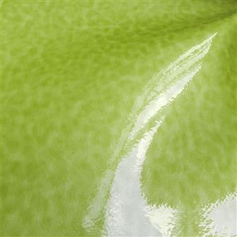 Longebvity