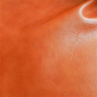 Canter