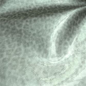 Longebvity