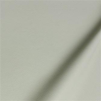 新浪一族