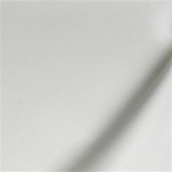 新浪一族