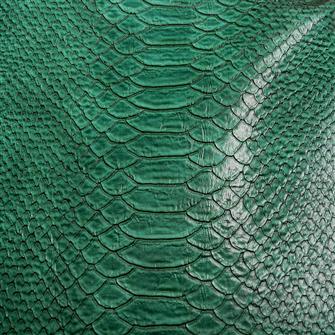 Snake Print