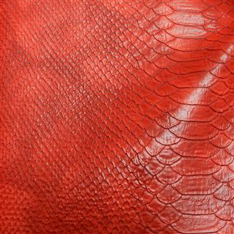 Snake Print