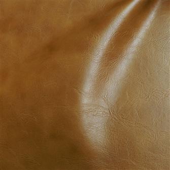 Canter