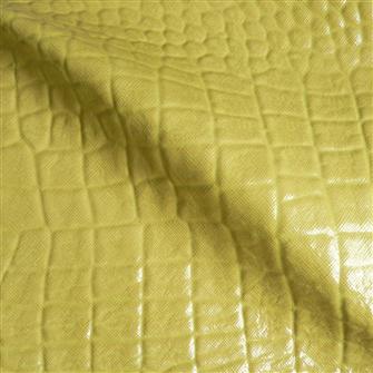 Golden Croc