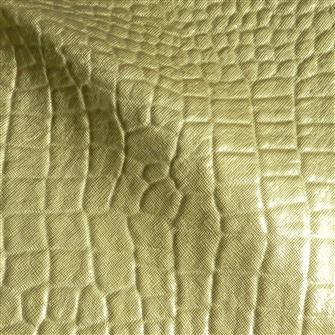 Golden Croc